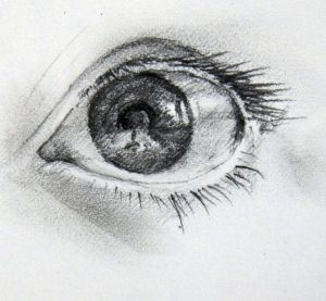 eye
