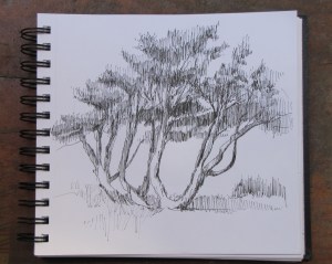tree study