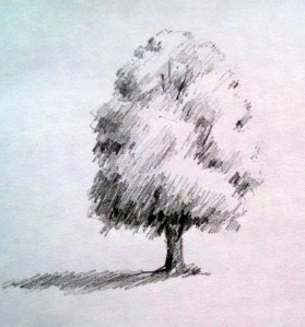 tree