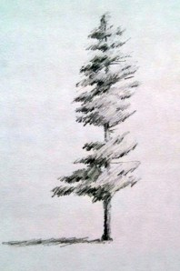 tree1