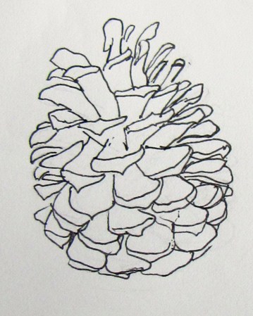pinecone1